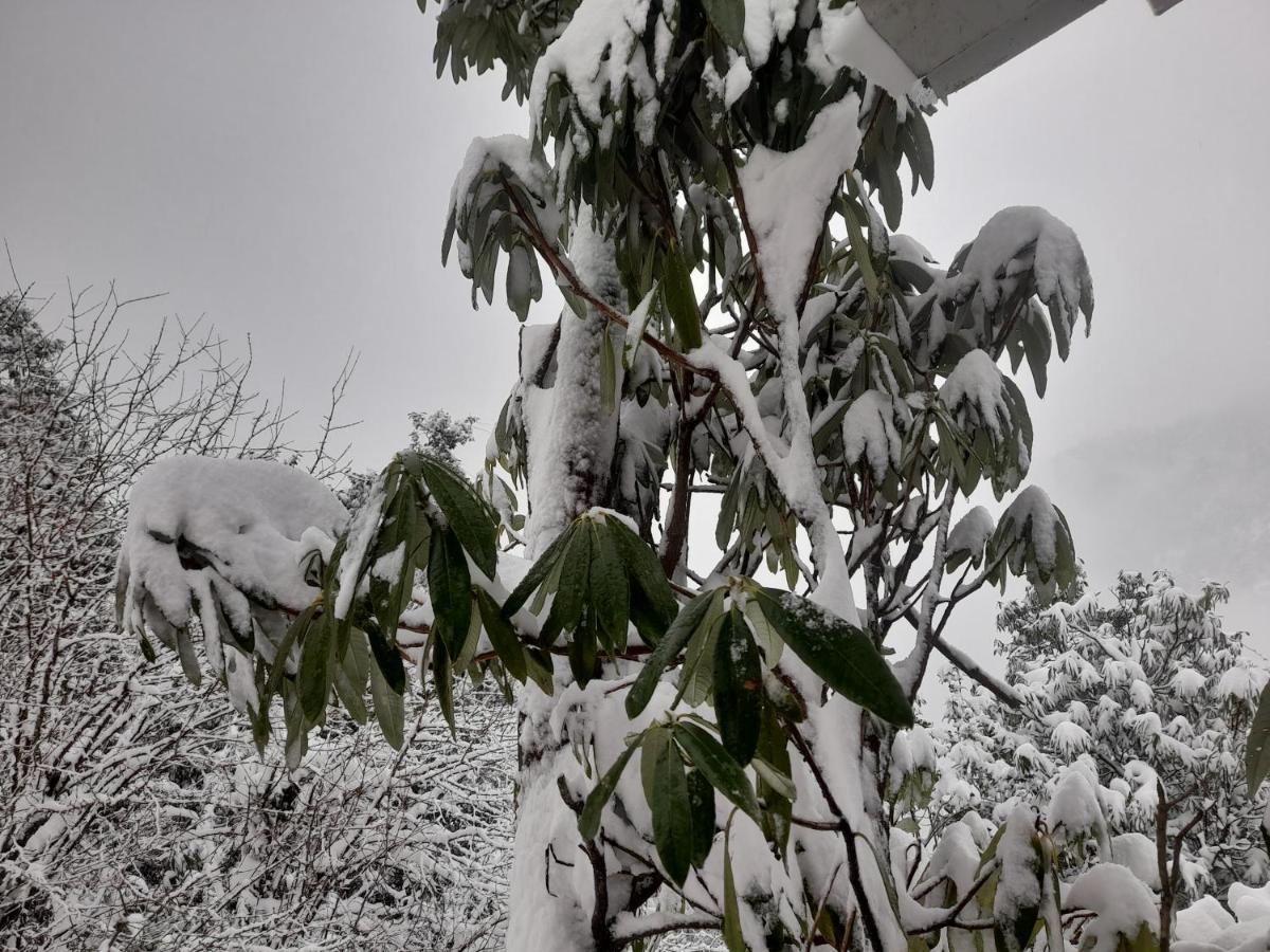 Chiraiyya Cottage Pangot Nainital Zewnętrze zdjęcie
