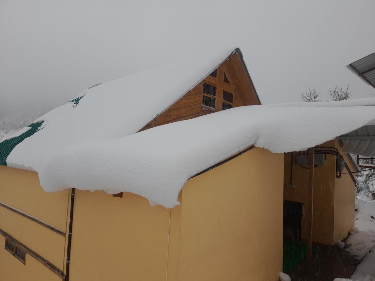 Chiraiyya Cottage Pangot Nainital Zewnętrze zdjęcie