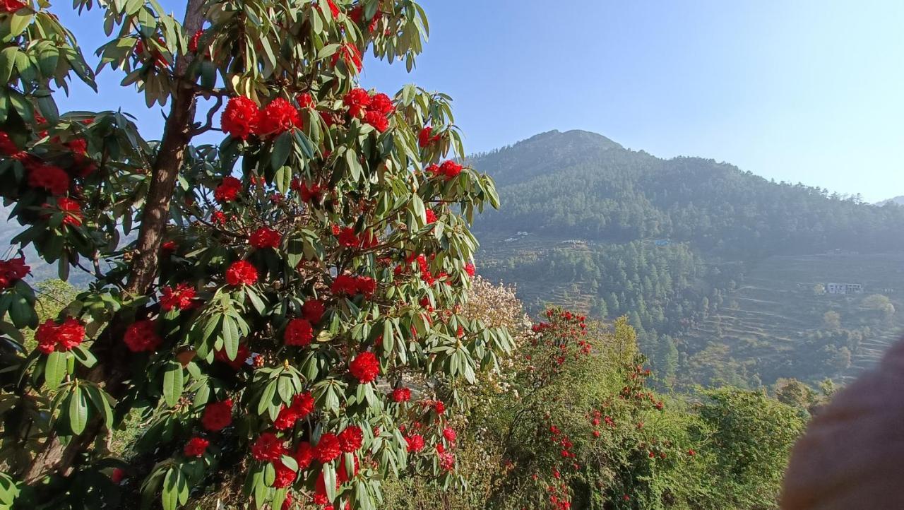 Chiraiyya Cottage Pangot Nainital Zewnętrze zdjęcie