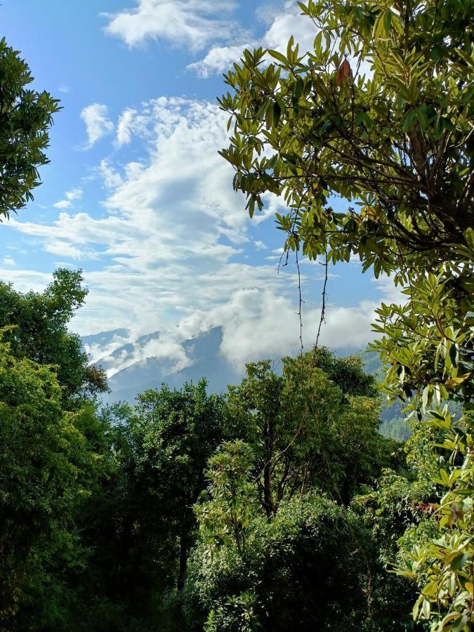 Chiraiyya Cottage Pangot Nainital Zewnętrze zdjęcie
